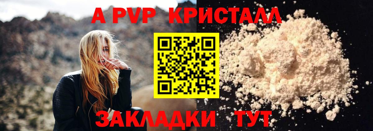 Alfa_PVP СК Кузнецк