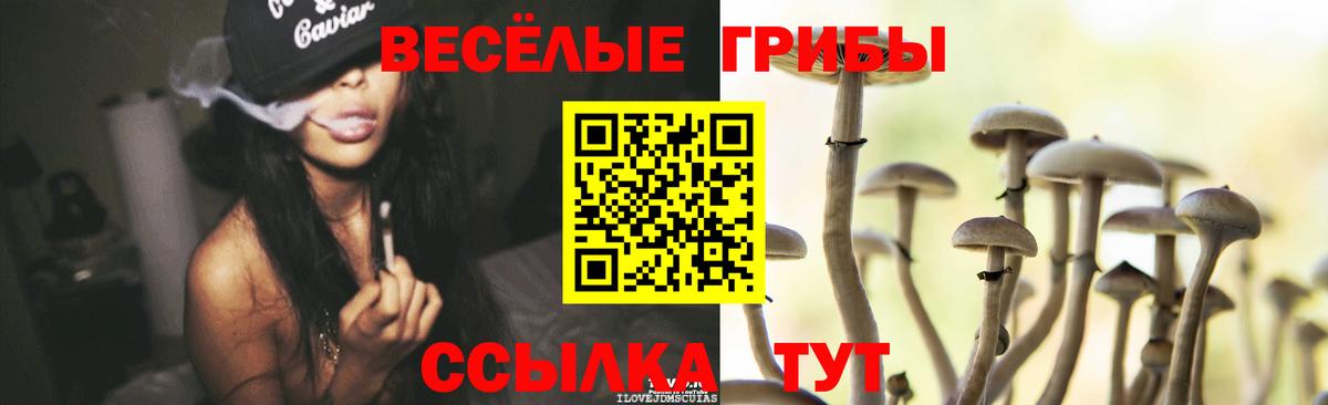 Псилоцибиновые грибы GOLDEN TEACHER  Вход с VPN  Кузнецк 